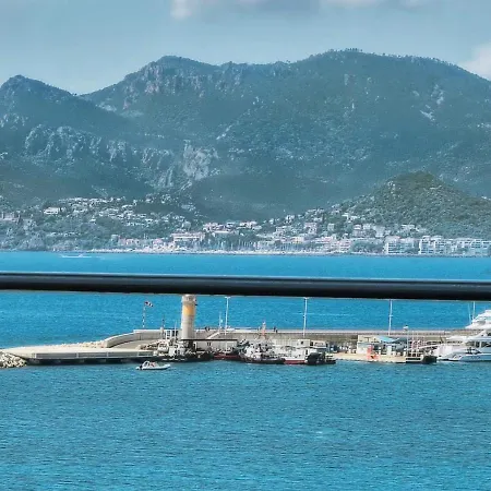 Апартаменты Luxury Superbe Miramar Croisette By Rivaevent